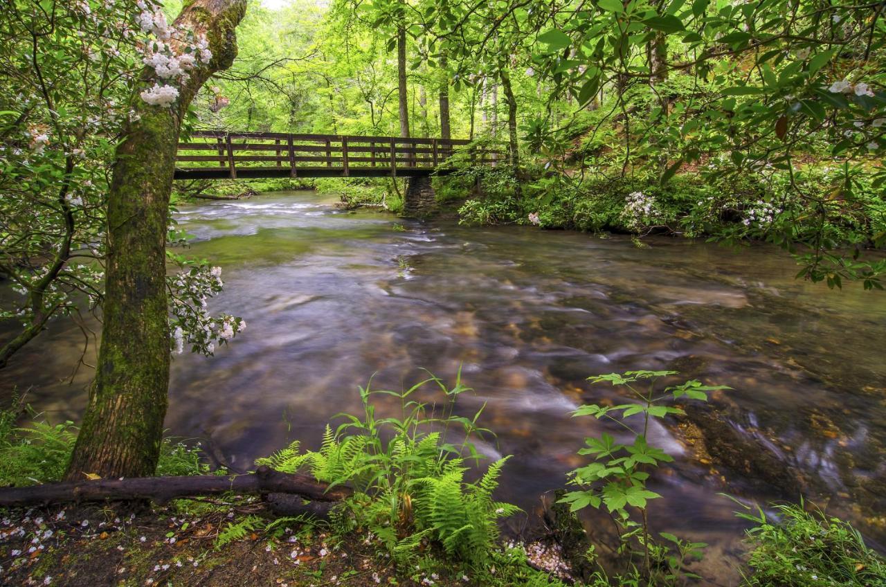 Villa Bearly Hidden Gatlinburg Exterior foto